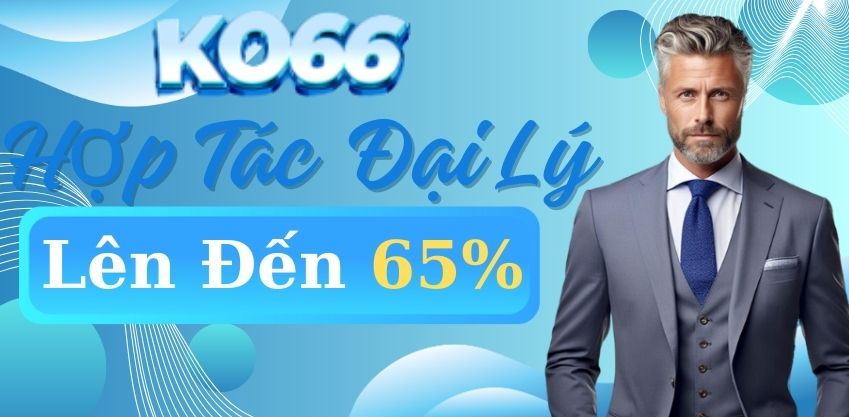 baner-dai-ly-ko66